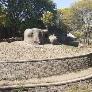 Meet your Posher, Laurie